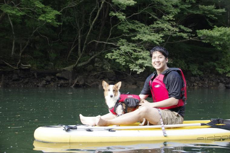 犬とSUP(サップ)の画像